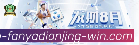 未来规划
